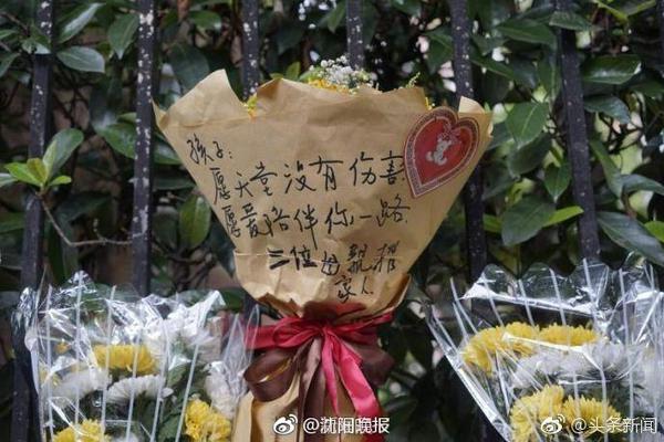 🤔队记：杨瀚森的表现让人惊讶因他已准备好 语言问题需要解决